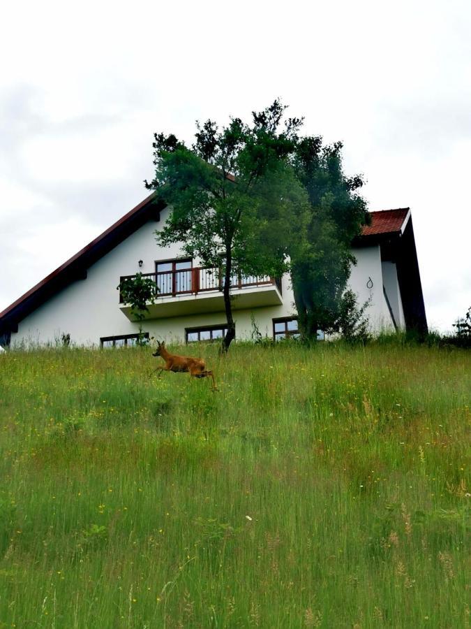 Agropensiunea Floare De Tei Carpinis  Buitenkant foto